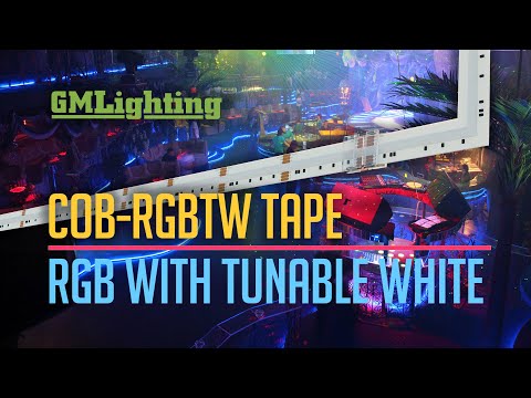 Color Changing COB RGB with Tunable White LED Tape
